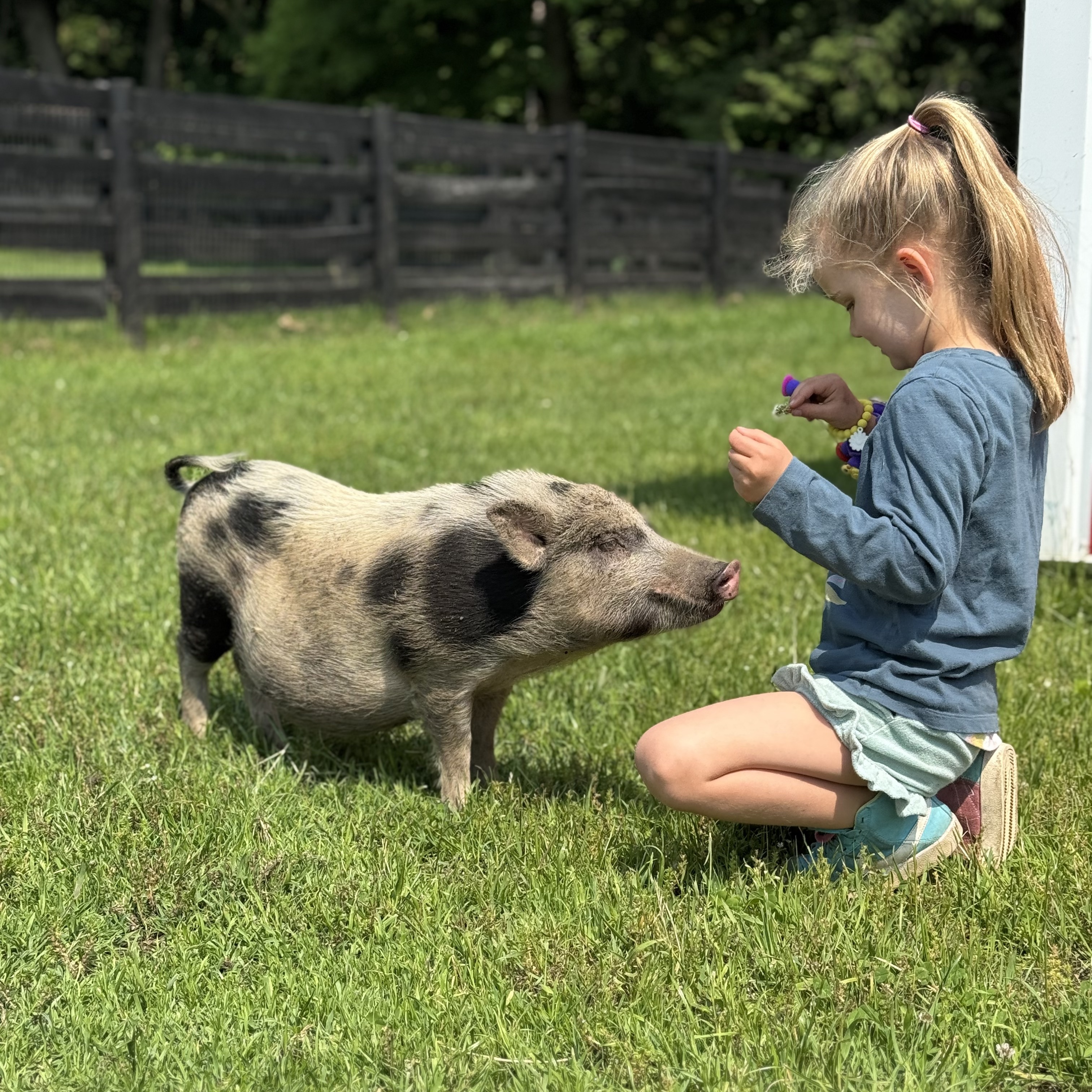 Storytime and Crafts at Abraham Ranch - logo